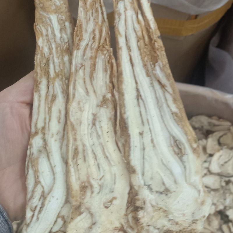 压片当归，一手货源，品质优良，量大从优，欢迎电话联系。