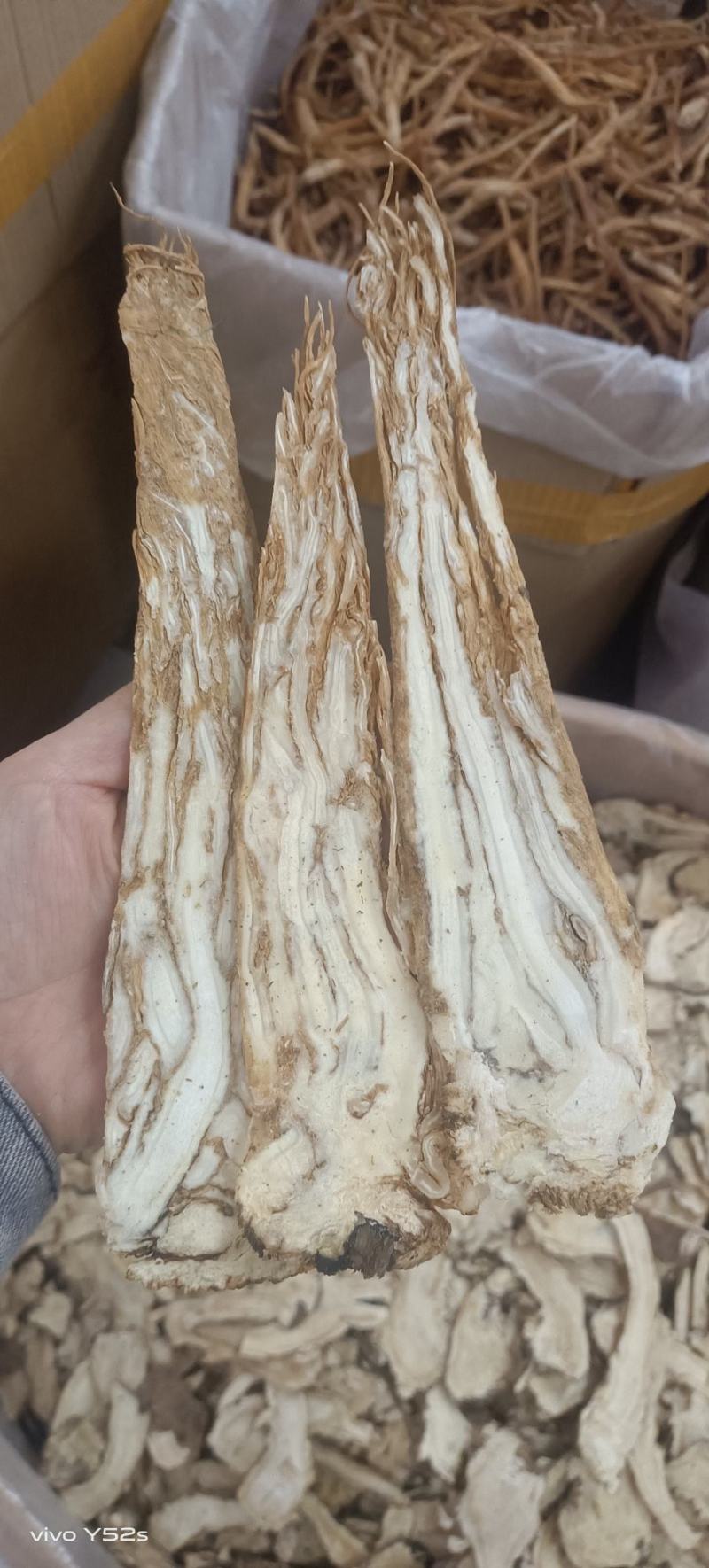 压片当归，一手货源，品质优良，量大从优，欢迎电话联系。