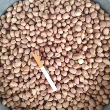 白沙花生米精米，