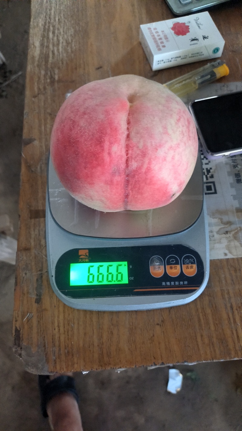 河北顺平九号蜜桃桃大量上市了，支持超市，电商，市场，社区