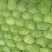 【推荐】甘蓝扁包菜，河北扁包菜产地直供一手货源欢迎采购