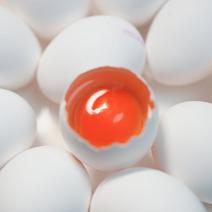 可生食虾青素鸡蛋红心白壳寿喜锅专用