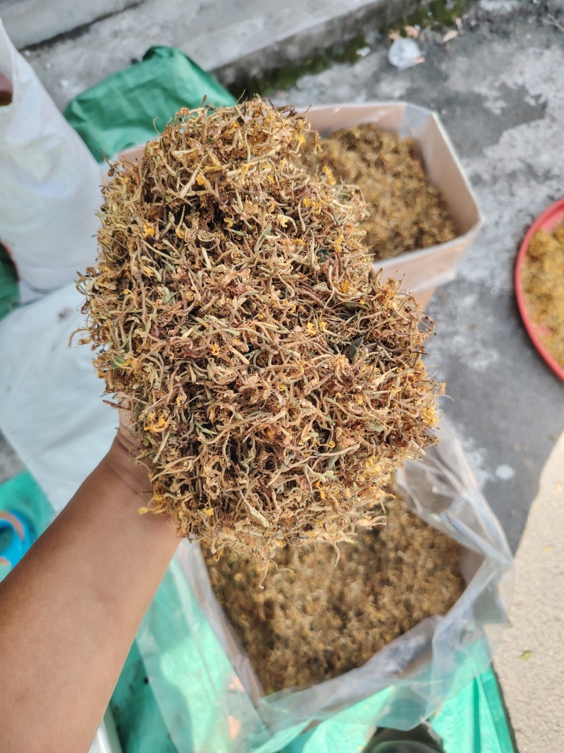 贵州金银花山银花，无硫，晒花，货足，质量保证