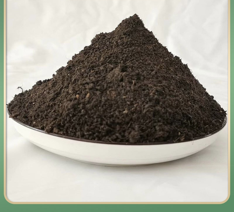 三红蜜柚标准定植穴剖面结构图