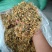 贵州金银花山银花，无硫，晒花，货足，质量保证