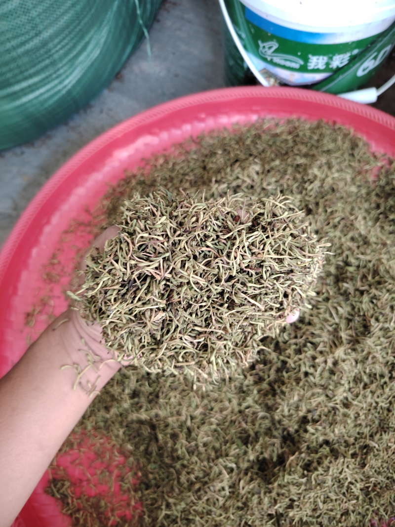 贵州金银花山银花，无硫，晒花，货足，质量保证