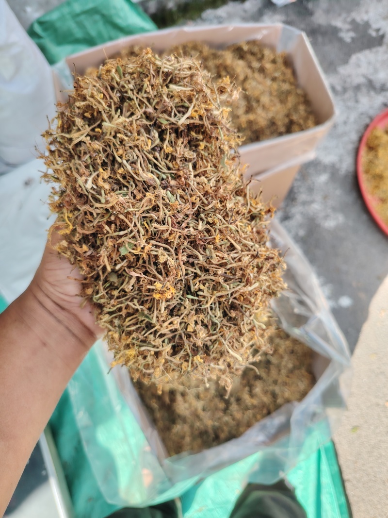 贵州金银花，晒花无硫，味香，己人工筛选