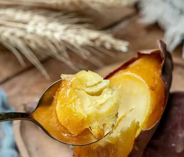 展示西瓜红红薯的红色表皮和金黄色薯肉,突出其正常外观和内部颜色 西瓜红红薯的外观展示