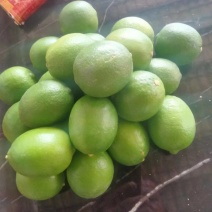 广东香水柠檬二级果新鲜有籽花皮大小果青柠檬丑柠檬水果5斤