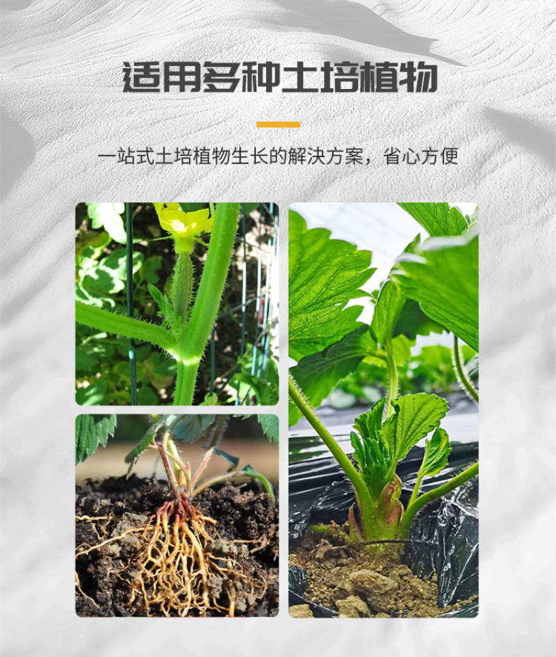 抗根腐重茬微生物菌剂预防土传病害厂家直销