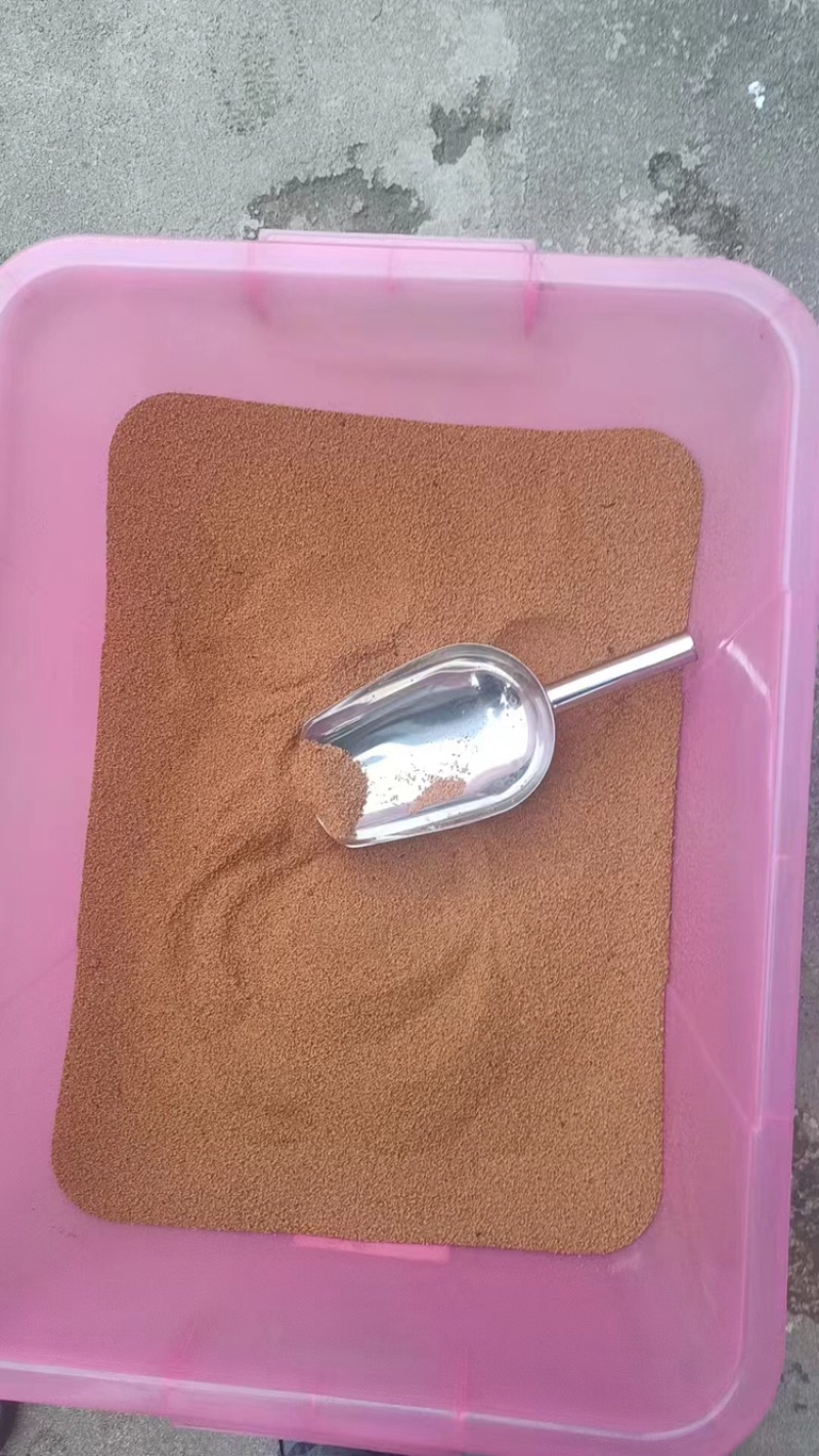 新鲜五指毛桃种子发芽率高，品质有保证，量大从优