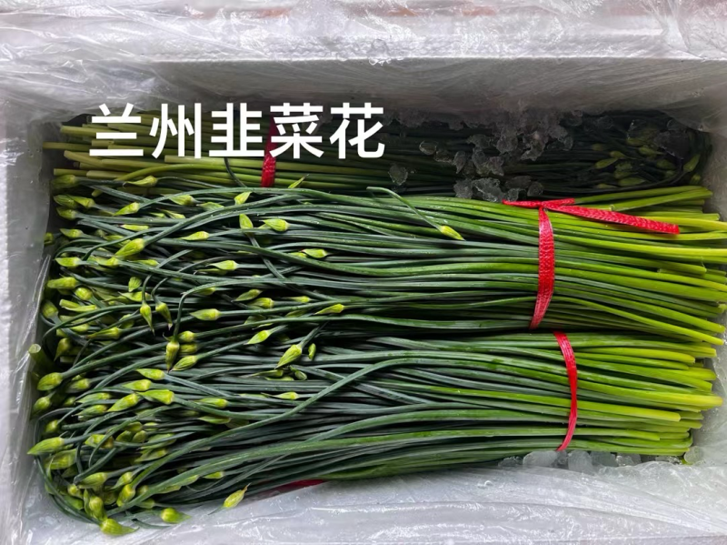 韭菜花