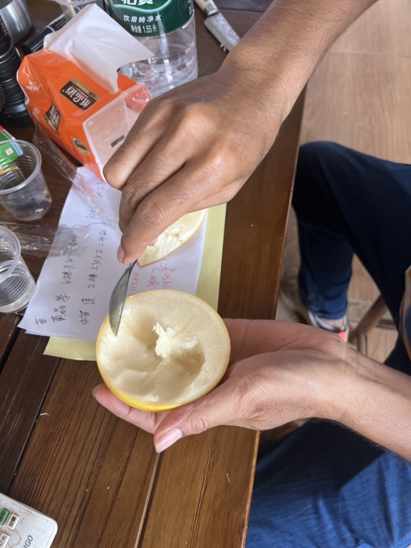 黄晶果，黄金果，产地直供，一手货源，现在大量上市，至电