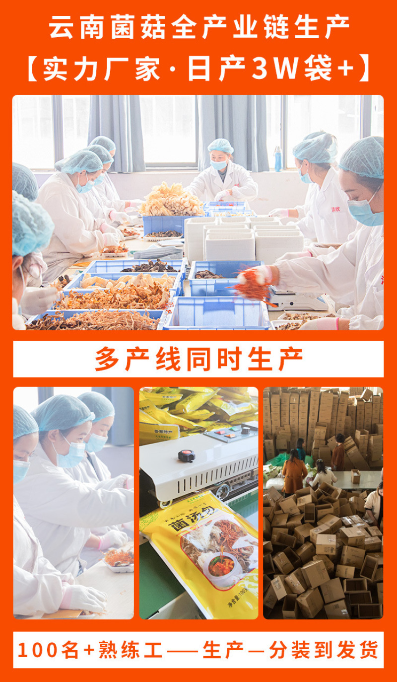 50克菌汤包福利款，云南菌汤包100袋包邮，工厂源头销售