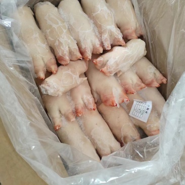 猪蹄