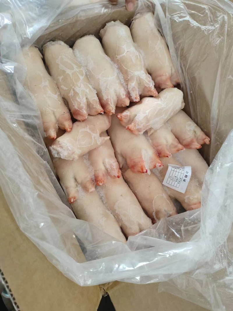 猪蹄
