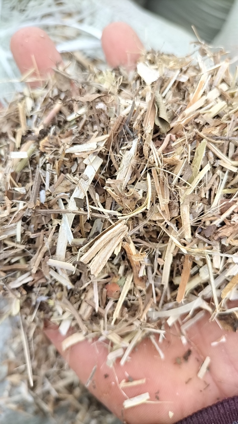 河南正阳精品花生秧草，产地直发，保质保量，欢迎来电