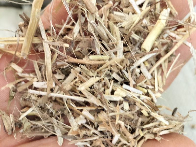 河南正阳精品花生秧草，产地直发，保质保量，欢迎来电