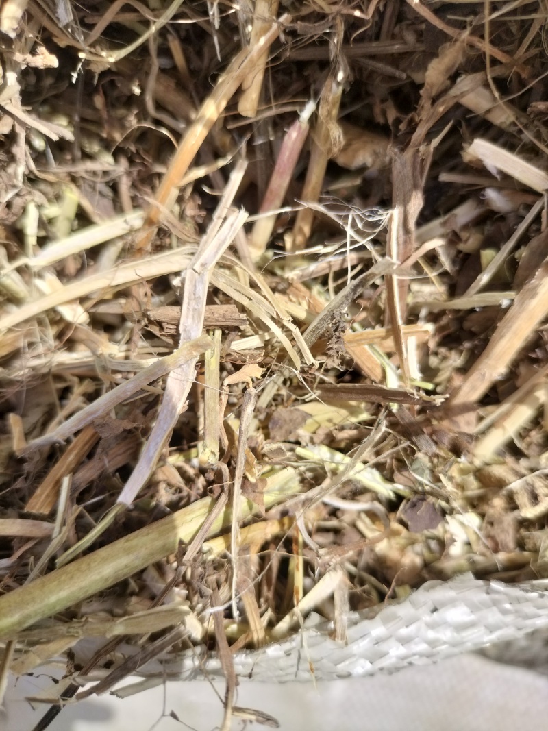 河南正阳精品花生秧草，产地直发，保质保量，欢迎来电