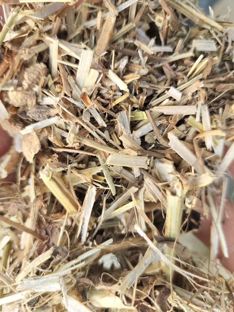 河南正阳精品花生秧草，产地直发，保质保量，欢迎来电
