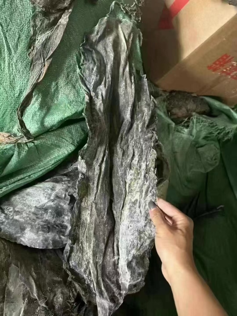 海带，干海带海带皮海带头短板海带小海带商超展销会地摊火爆