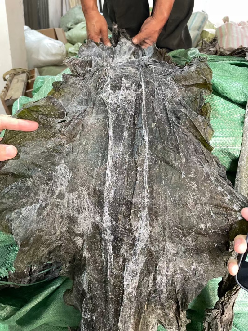 海带，干海带海带皮海带头短板海带小海带商超展销会地摊火爆