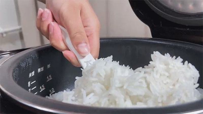 泰国香米