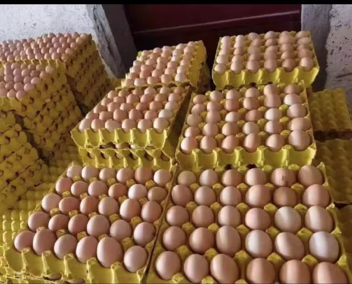 鸡蛋批发市场交易场景