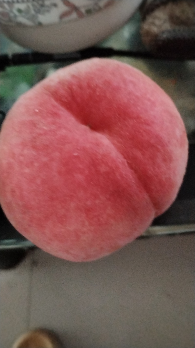 新鲜采摘的桃子，现摘现发货