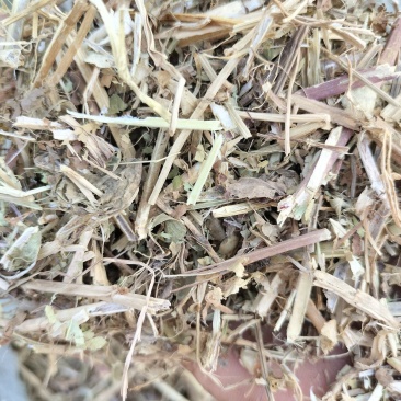 河南正阳精品花生秧草，产地直发，保质保量，欢迎来电