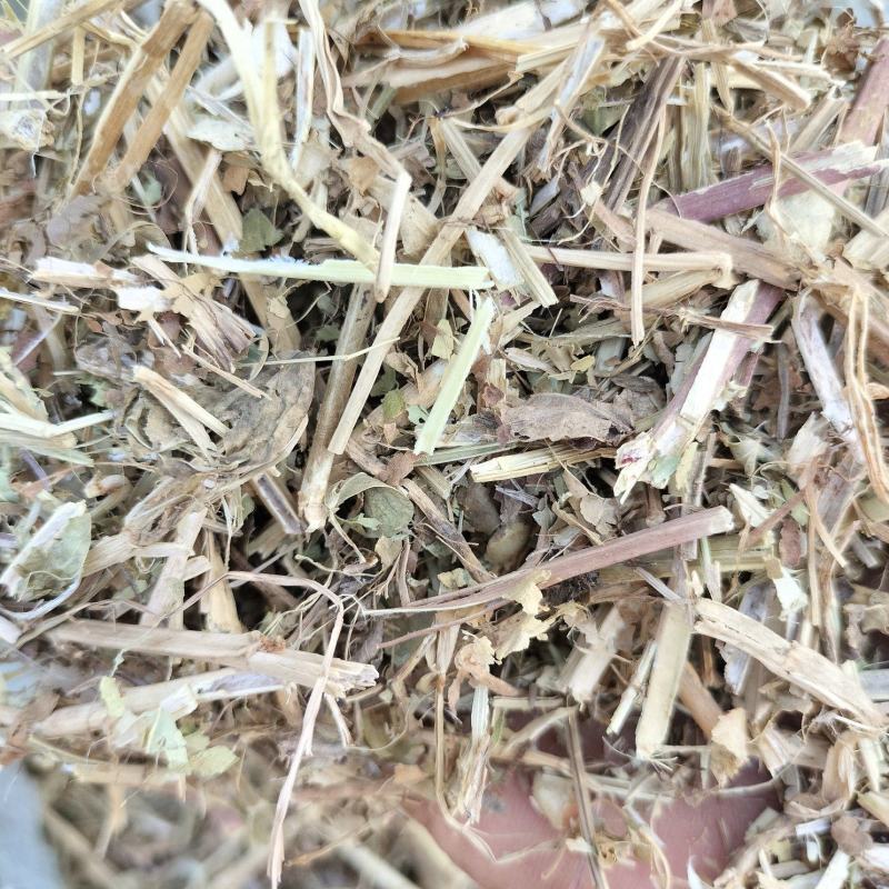 河南正阳精品花生秧草，产地直发，保质保量，欢迎来电