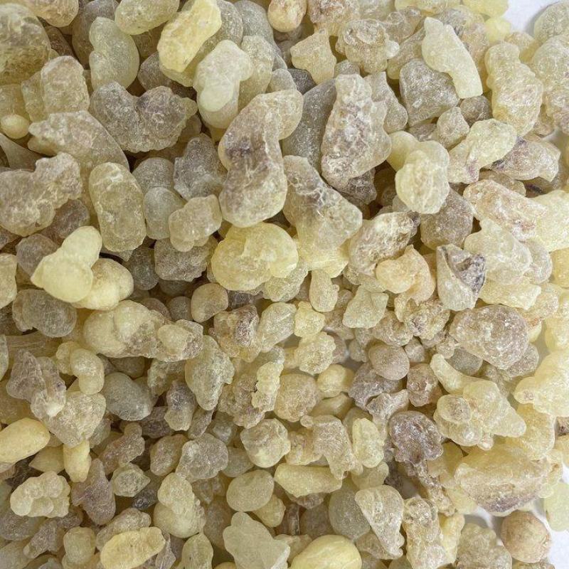 中药材乳香珠