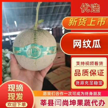 网纹蜜瓜山东产地直供甜度高价格低规格齐全欢迎咨询