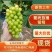 【牛人卖货】阳光玫瑰葡萄河南夏邑万亩产区大量上市欢迎来电