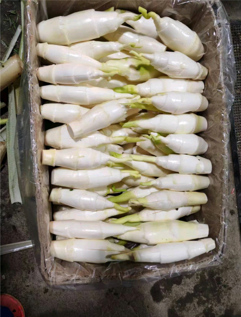 安徽茭白基地，价格优惠，货量充足，可对接超市电商