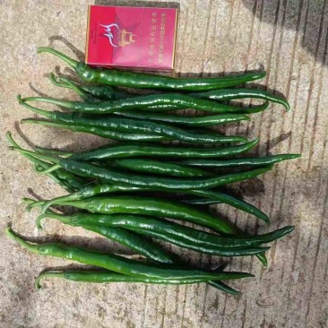 3号线椒