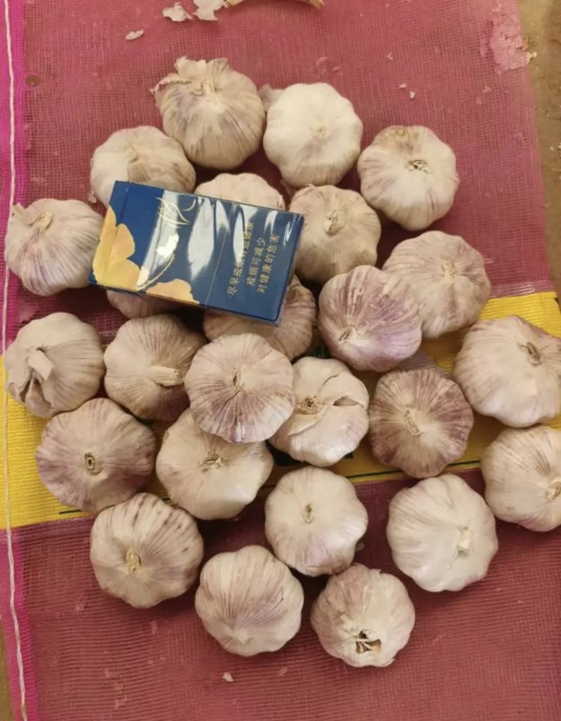 山东精品大蒜产地直发，大量供应可视频看货