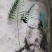 骨碎补本地话叫青竹彪，贵州本地一手货，质量好，视频看货