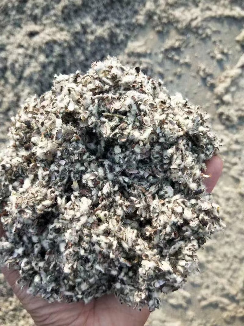 新疆优质棉籽壳中壳中绒长绒质量保证全国发货