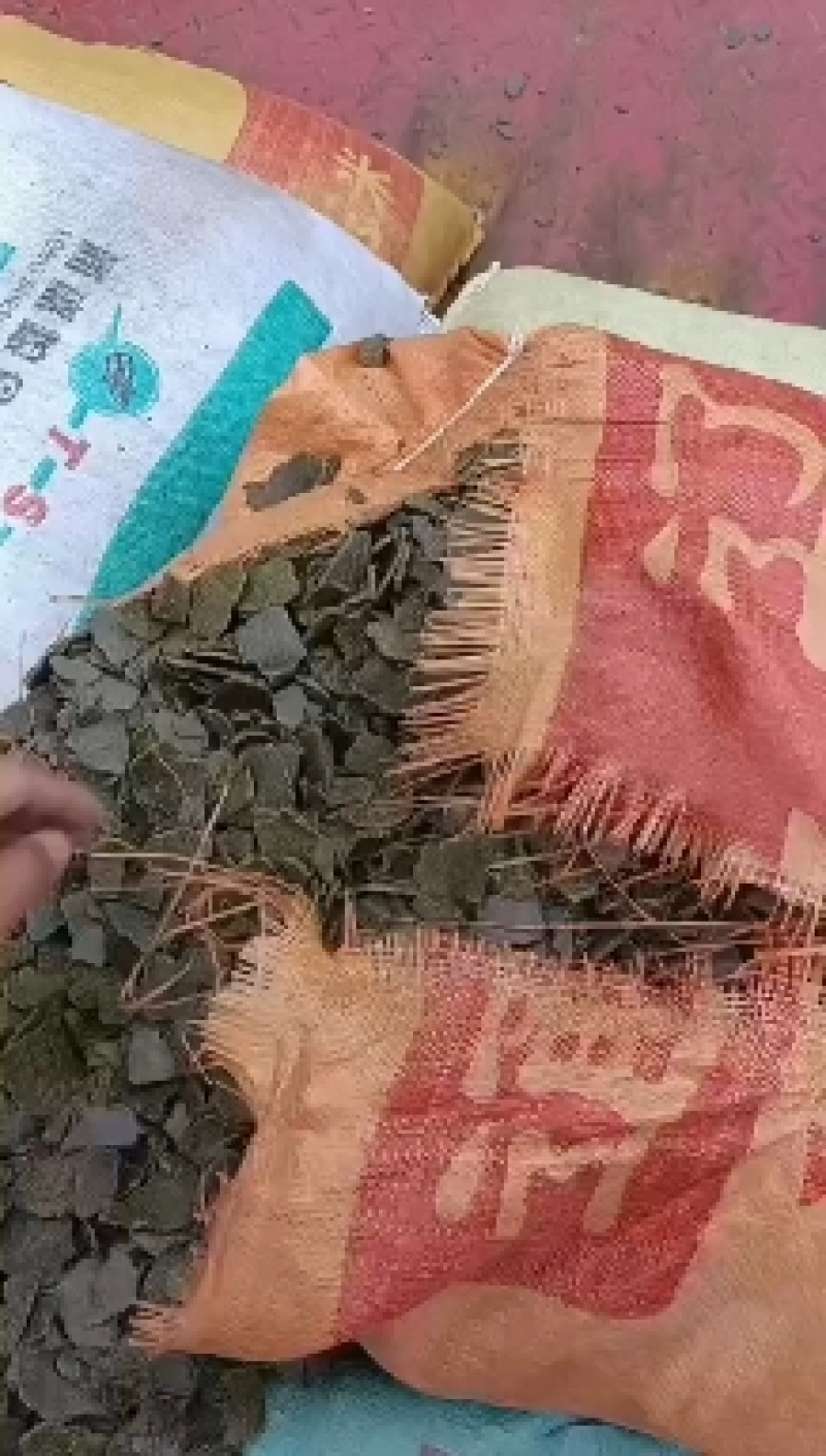 大量供应菜籽饼，菜籽青饼，饲料养殖高蛋白