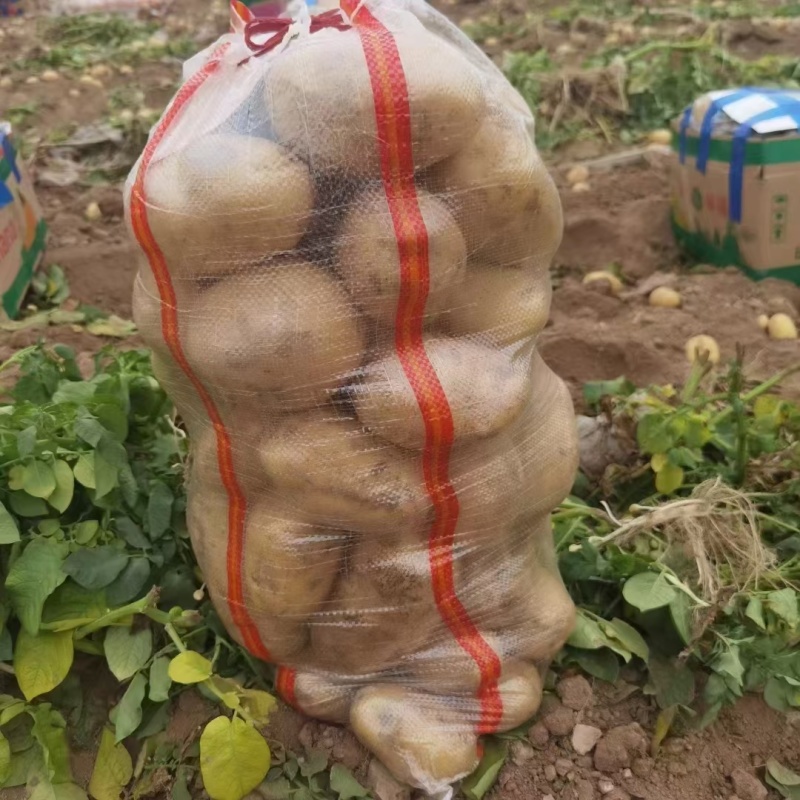 【署形好】河南土豆精品沃土五号土豆大小规格齐全无青头擦伤