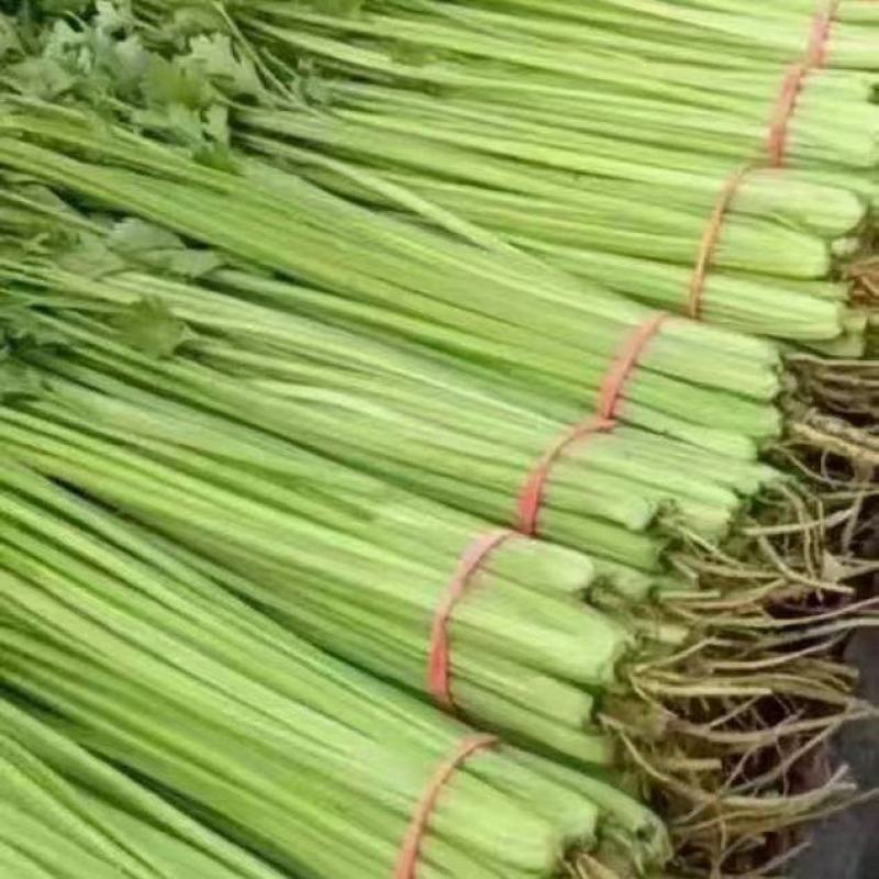 香芹批发