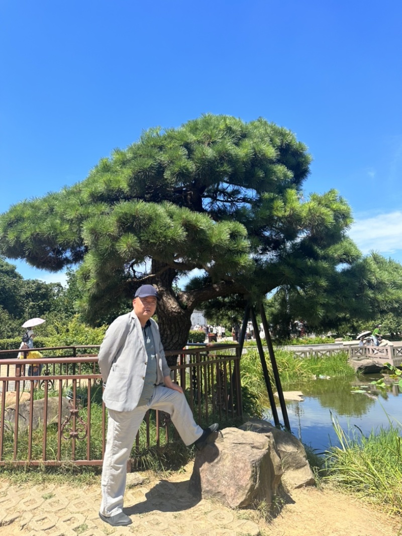 造型黑松批发供应