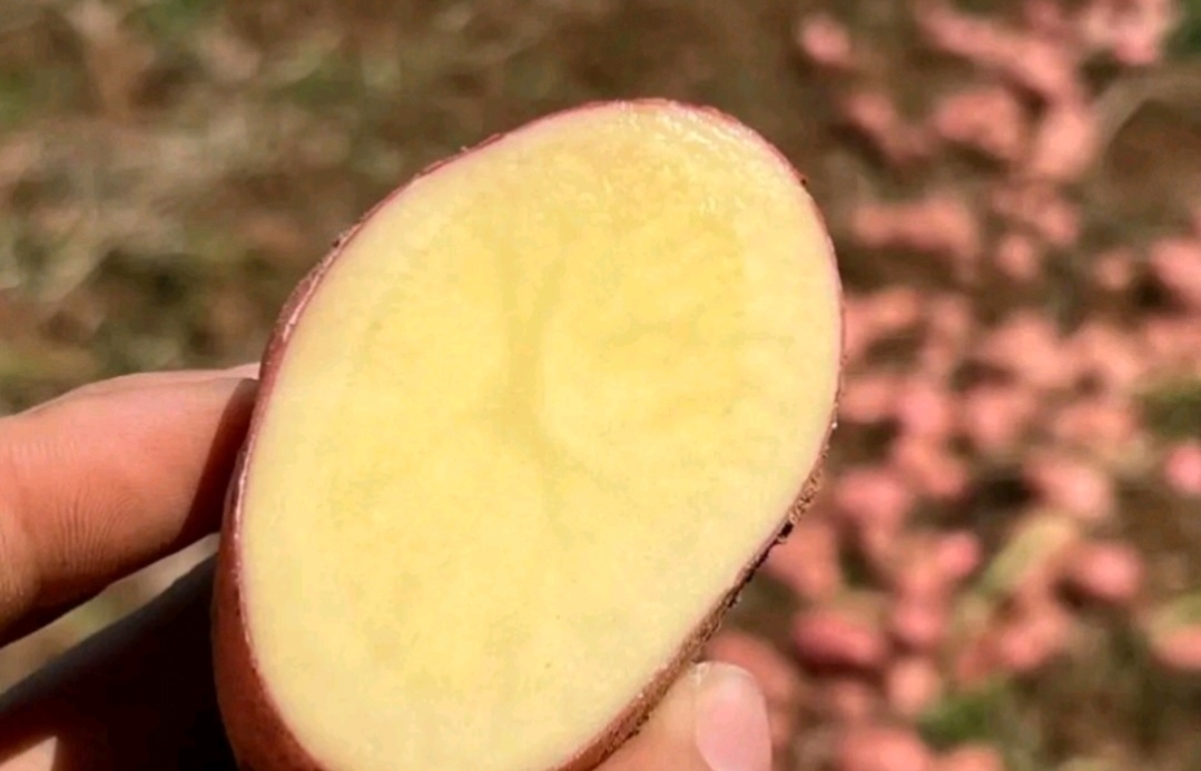 蒸煮炒炸四种烹饪方式下的土豆状态