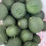 枳壳香橼大量上市了欢迎选购价格实惠品质保障