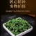 包邮桑叶茶霜后优选桑叶茶新鲜罐装散装天然野生秋霜后桑叶茶