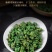包邮桑叶茶霜后优选桑叶茶新鲜罐装散装天然野生秋霜后桑叶茶