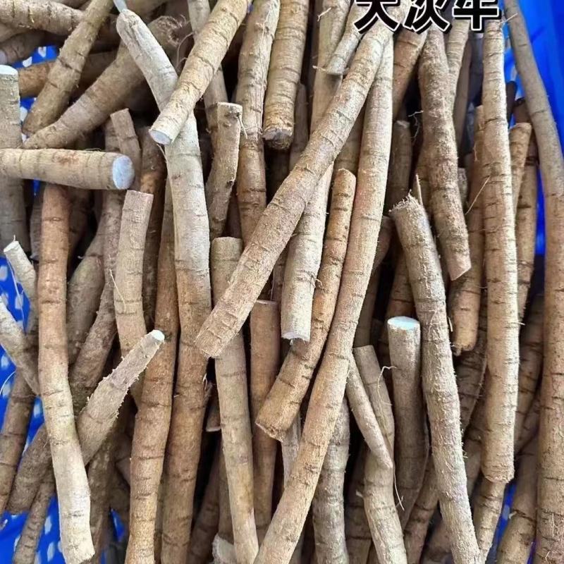 新鲜牛大力各种规格广东阳江原产地直供无杂质欢迎电话咨询
