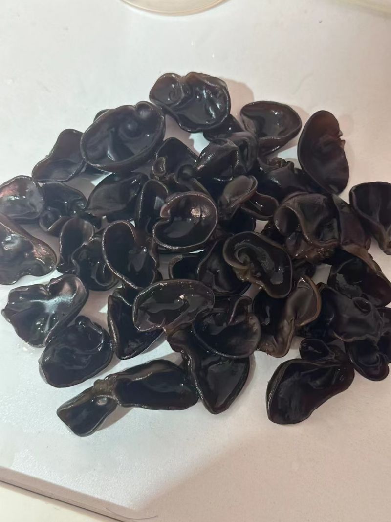 东北黑山秋木耳1.2精品产地直发量大优惠包邮到家