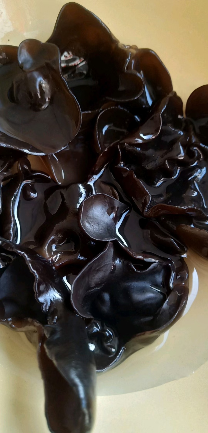 东北黑山秋木耳1.2精品产地直发量大优惠包邮到家